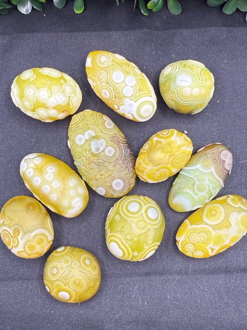 Premium "Angel Eye" Alxa Gobi Agate Select Palm Stone